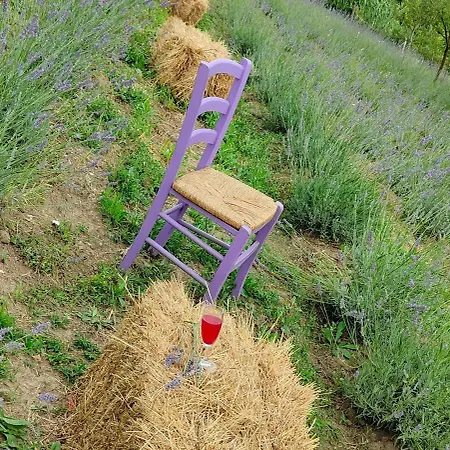 Κατάλυμα σε φάρμα Rossolampone